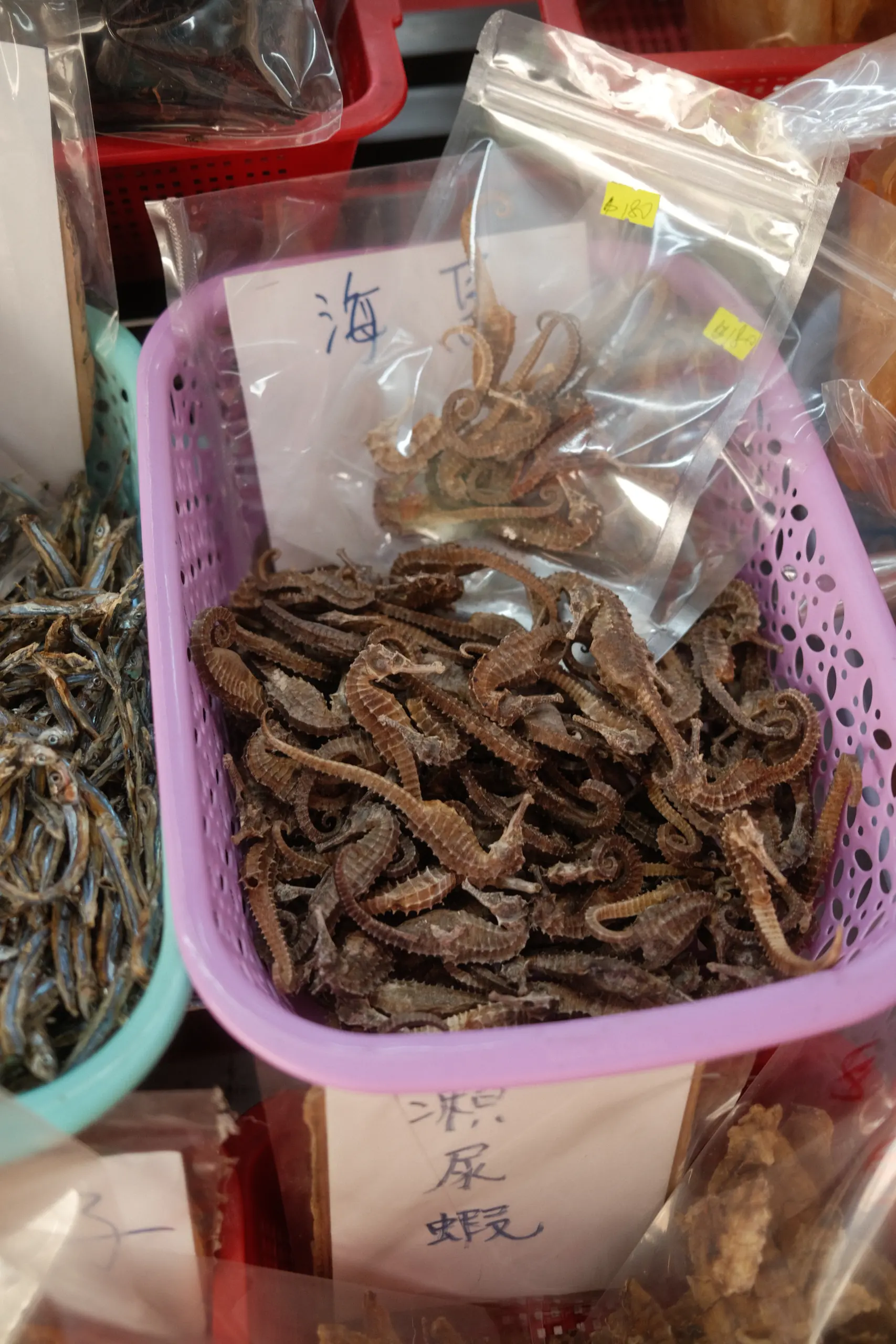 Dried seafood in plastic bags at a Tai O stall