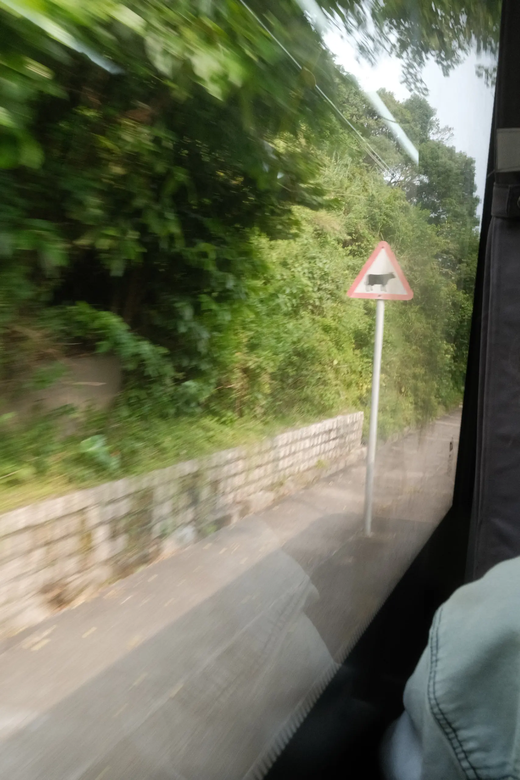 Green hills blurring past a bus window on Lantau