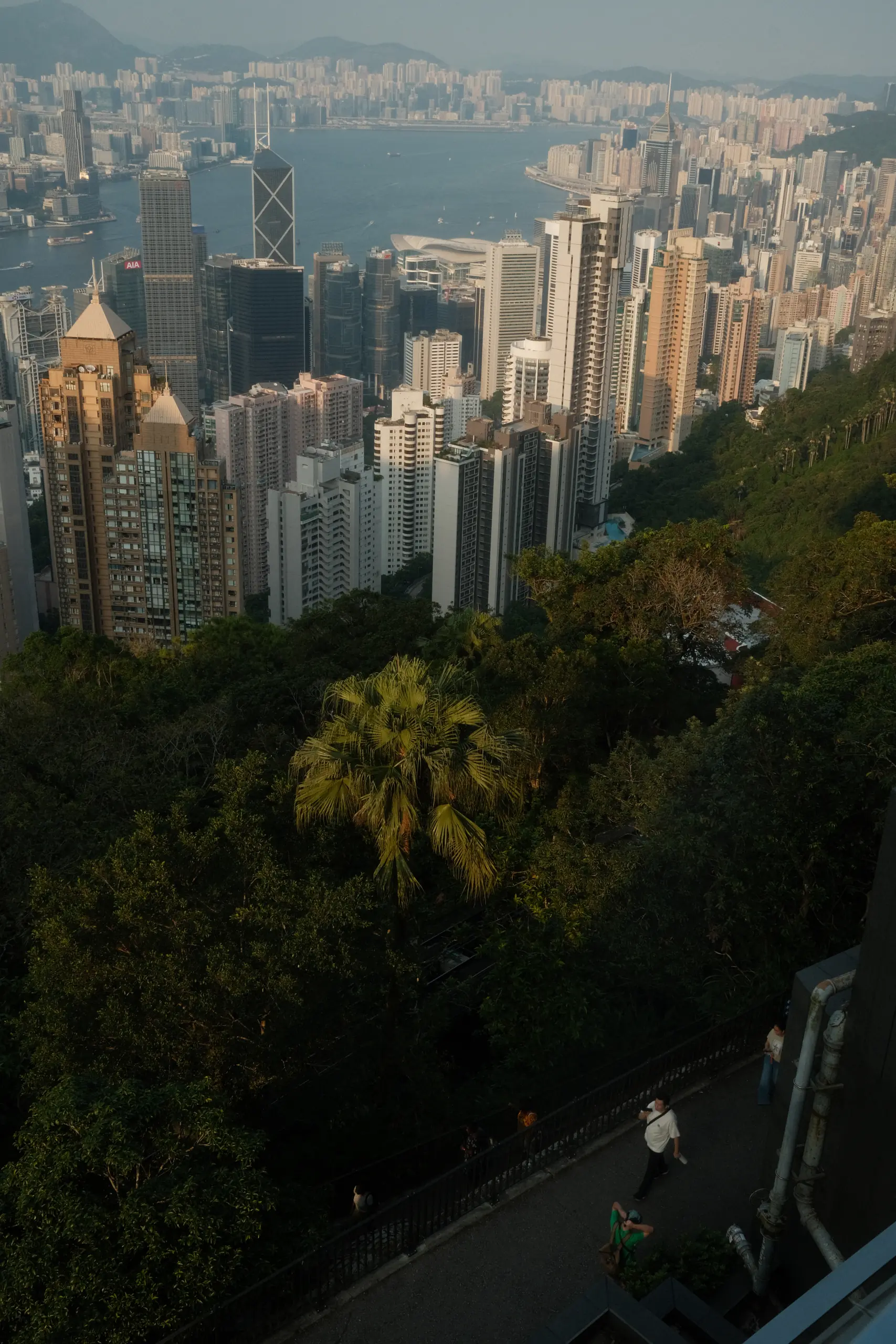 Hong Kong Island and the harbour seen from Victoria Peak