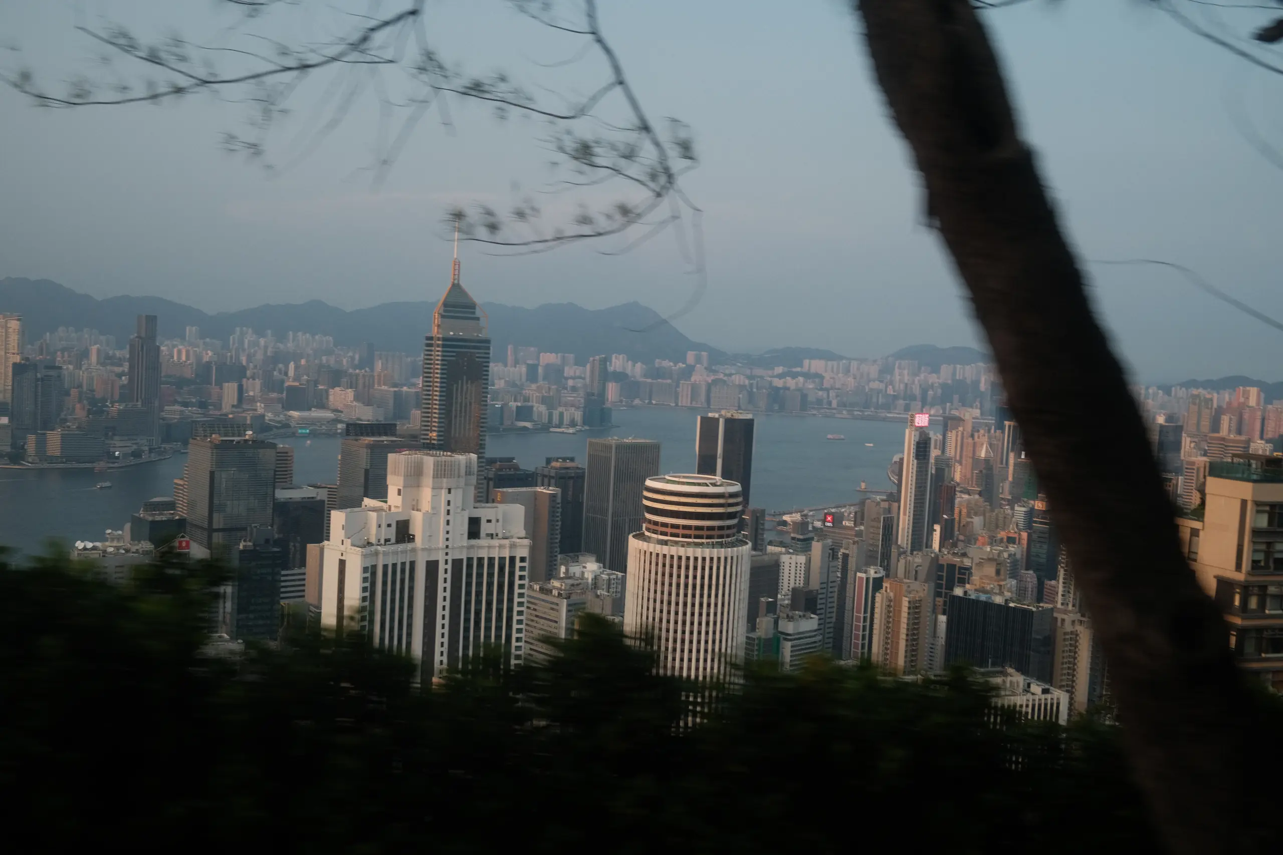 The skyline seen through trees from the Peak