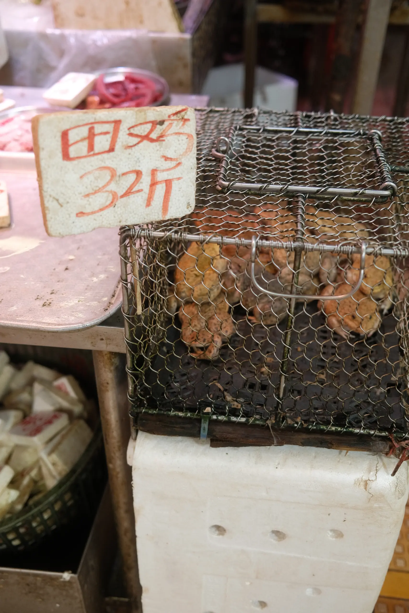 Live crabs in a wire cage at a market stall
